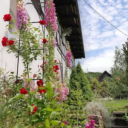 Fachwerkhaus Mit Garten Und Pool Inmitten Einer Wunderbaren Naturlandschaft Wlen